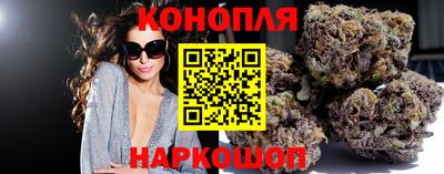 jwh Будённовск