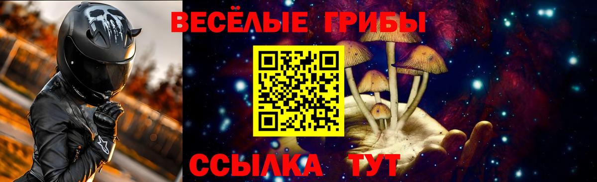 Муравленко  Псилоцибиновые грибы прущие грибы  Вход с VPN  Псилоцибиновые грибы Cubensis 